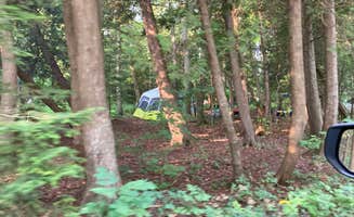 Ryan L T.'s photo at Leelanau State Park Campground near Ellsworth, MI