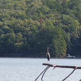 Review photo of Devils Fork State Park Campground by Constance O., September 20, 2021