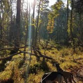 Review photo of Morrow Mountain State Park Campground by Constance O., September 20, 2021