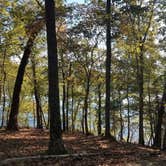 Review photo of Morrow Mountain State Park Campground by Constance O., September 20, 2021