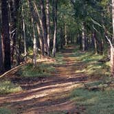 Review photo of Morrow Mountain State Park Campground by Constance O., September 20, 2021