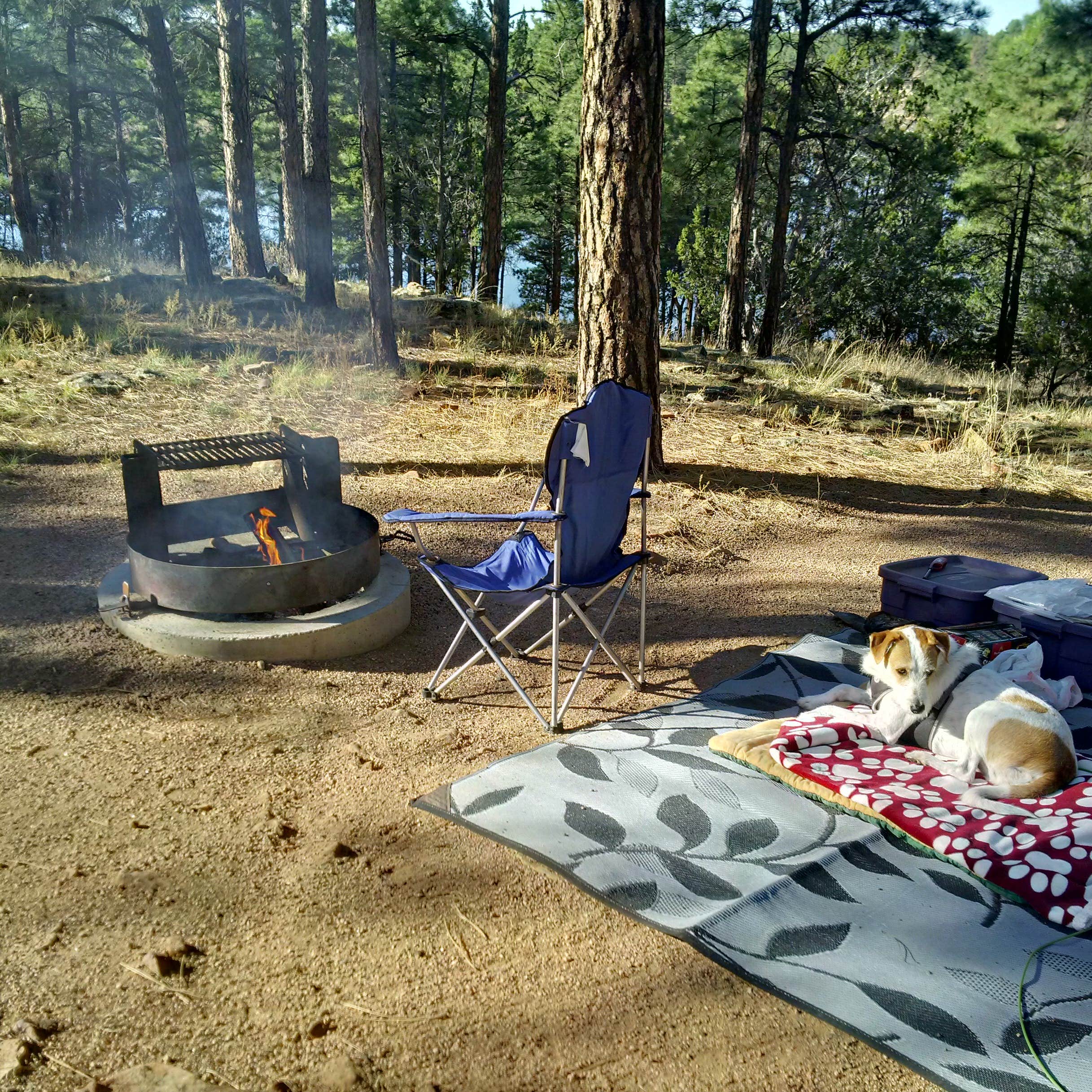Laura's photo at Fool Hollow Lake Recreation Area Campground near Show Low, AZ