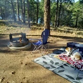 Review photo of Fool Hollow Lake Recreation Area Campground by Laura , September 20, 2021
