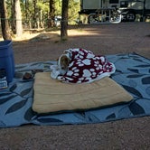 Review photo of Fool Hollow Lake Recreation Area Campground by Laura , September 20, 2021