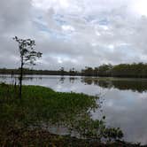 Review photo of Lake Fausse Pointe State Park Campground by Dion B., September 20, 2021