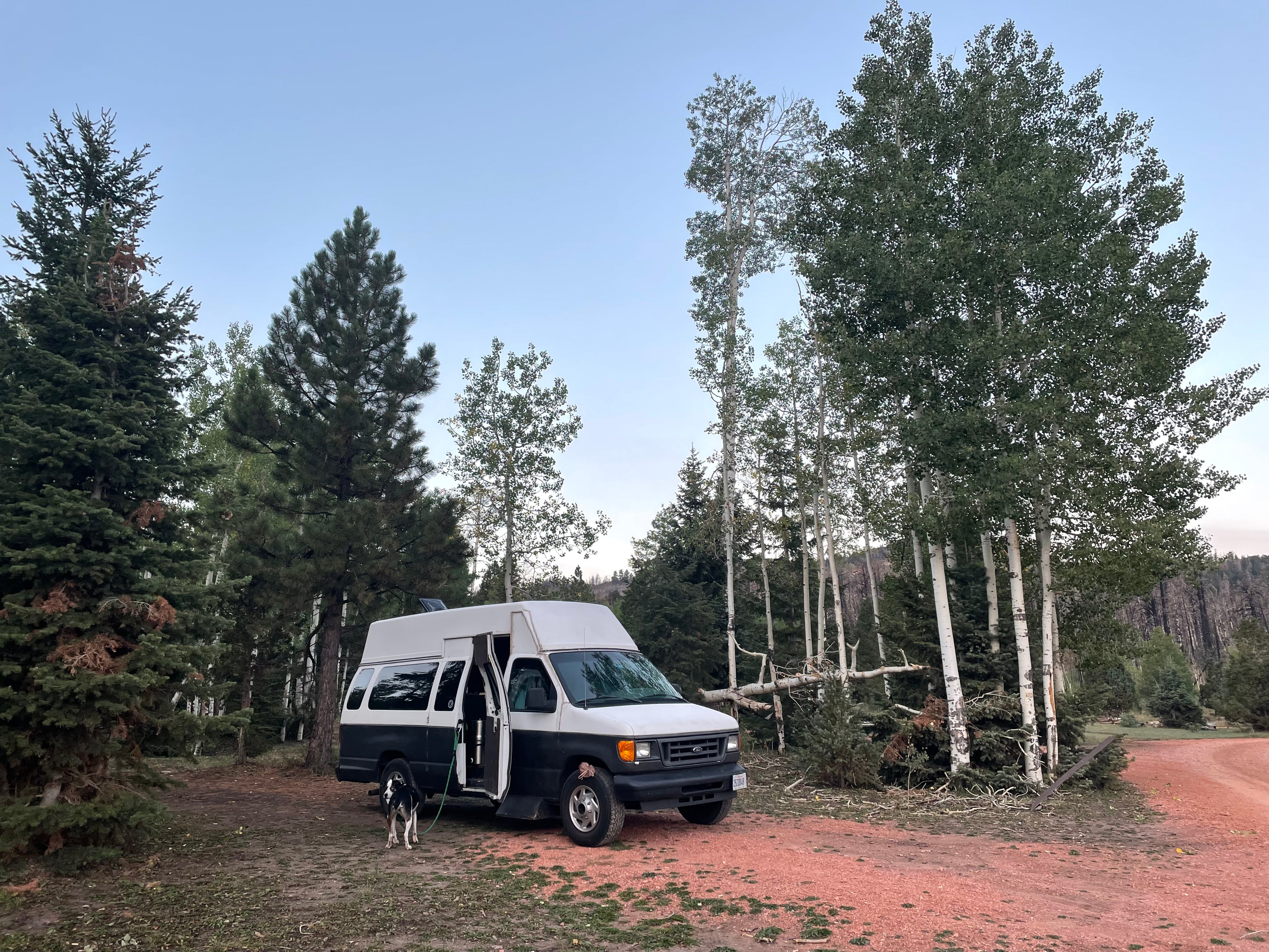 Camper submitted image from Yankee Meadows - 2