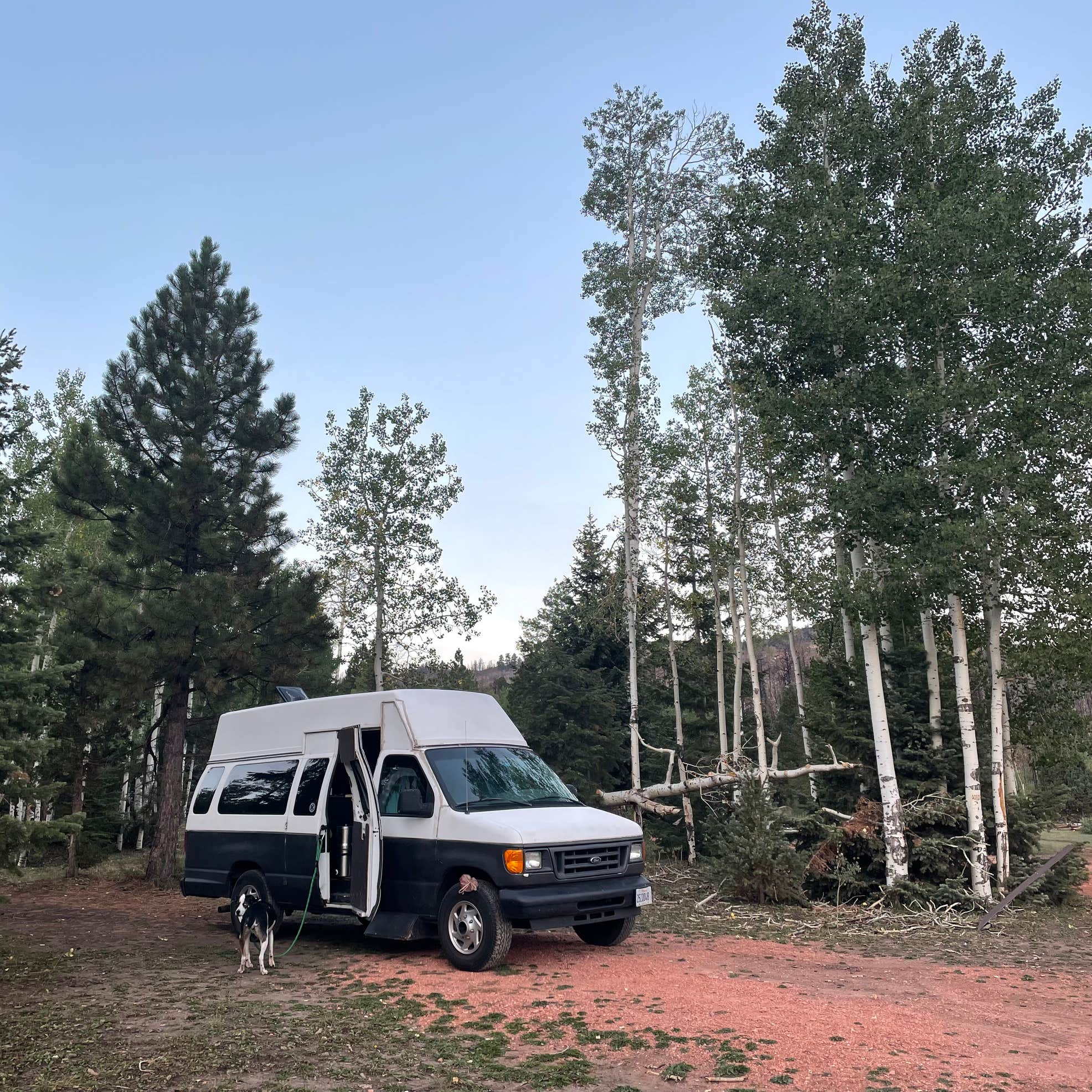 Yankee Meadows Camping The Dyrt