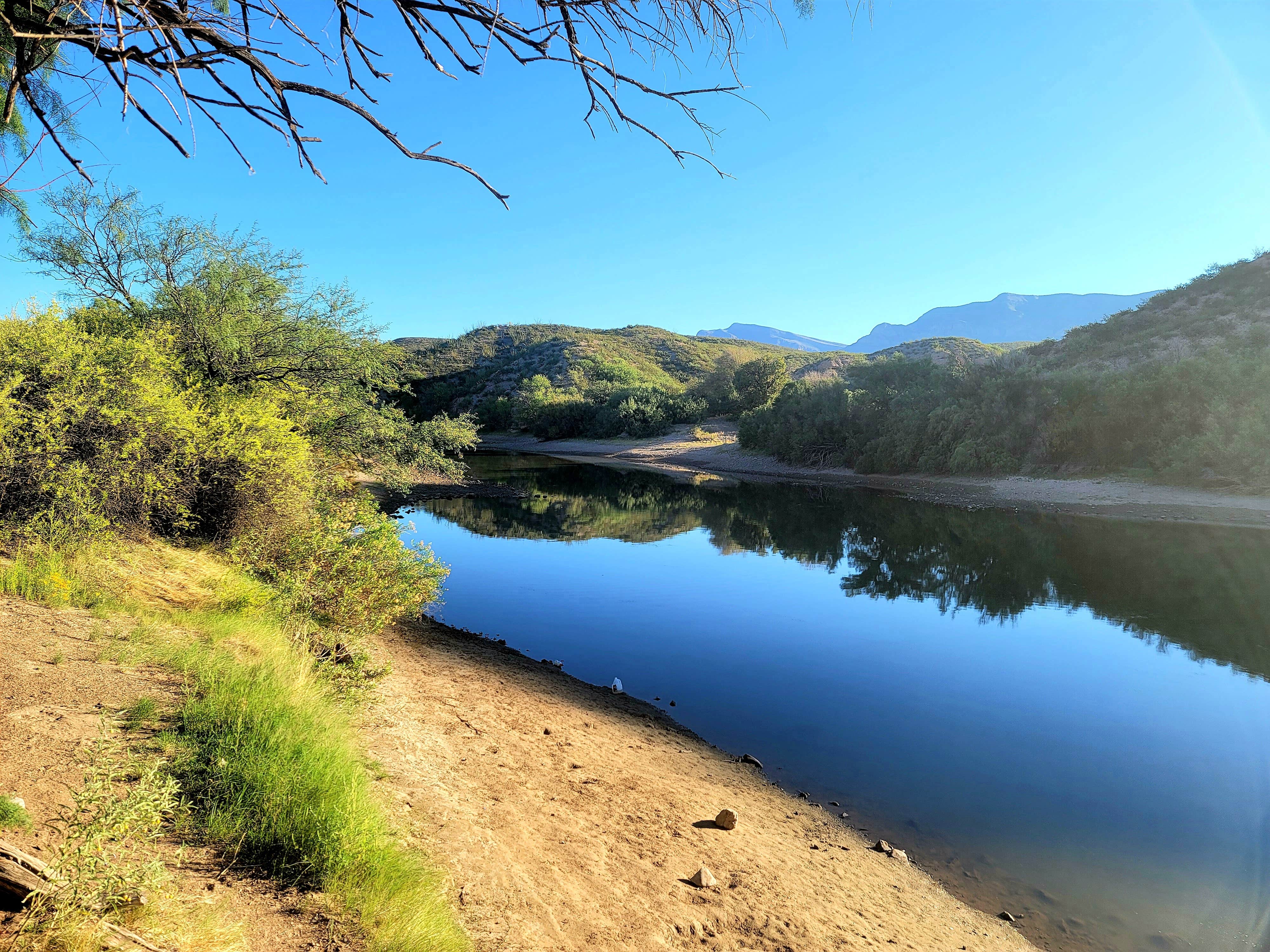 Camper submitted image from Riverside Campground — Caballo Lake State Park - 5