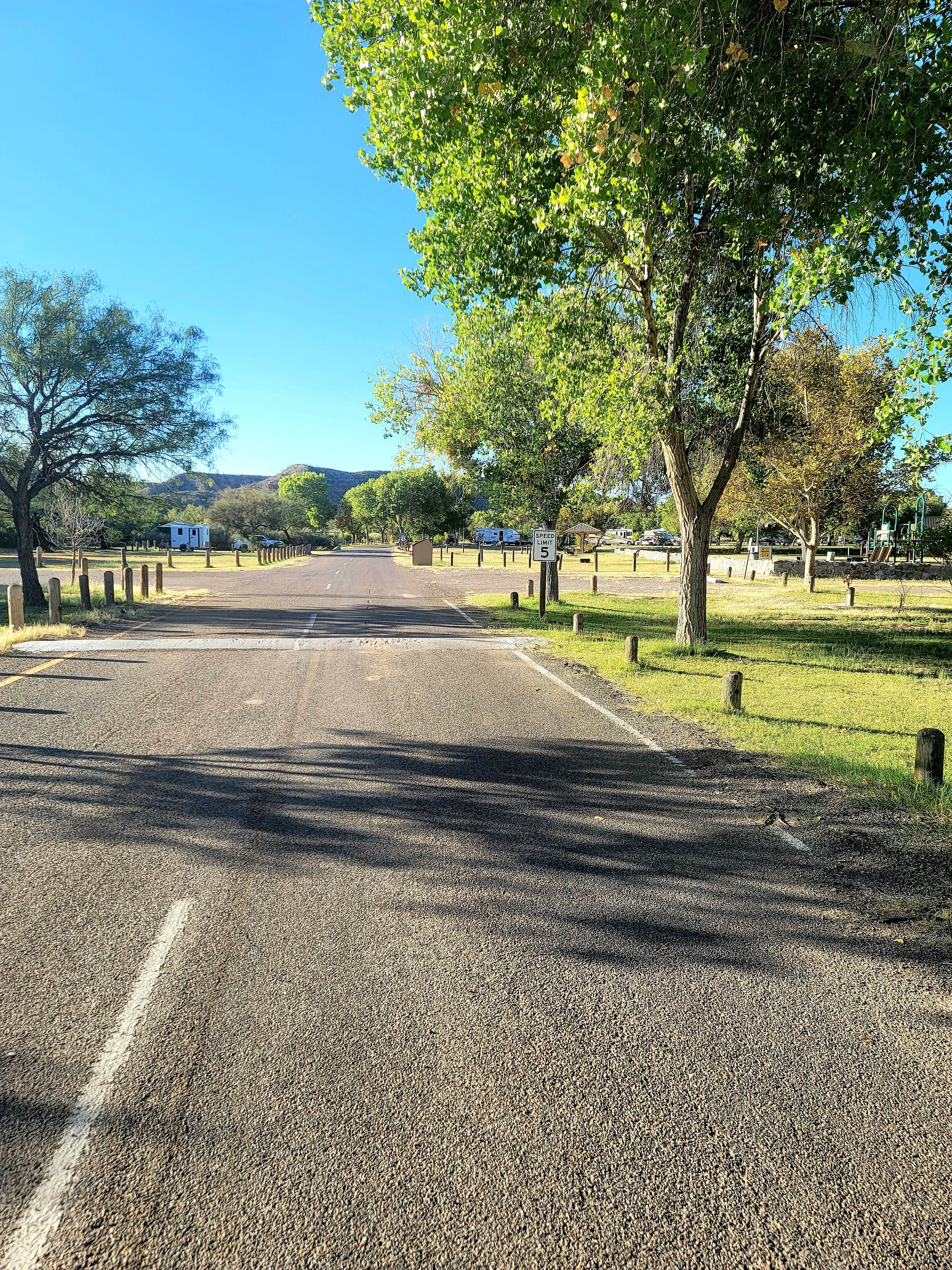 Camper submitted image from Riverside Campground — Caballo Lake State Park - 3