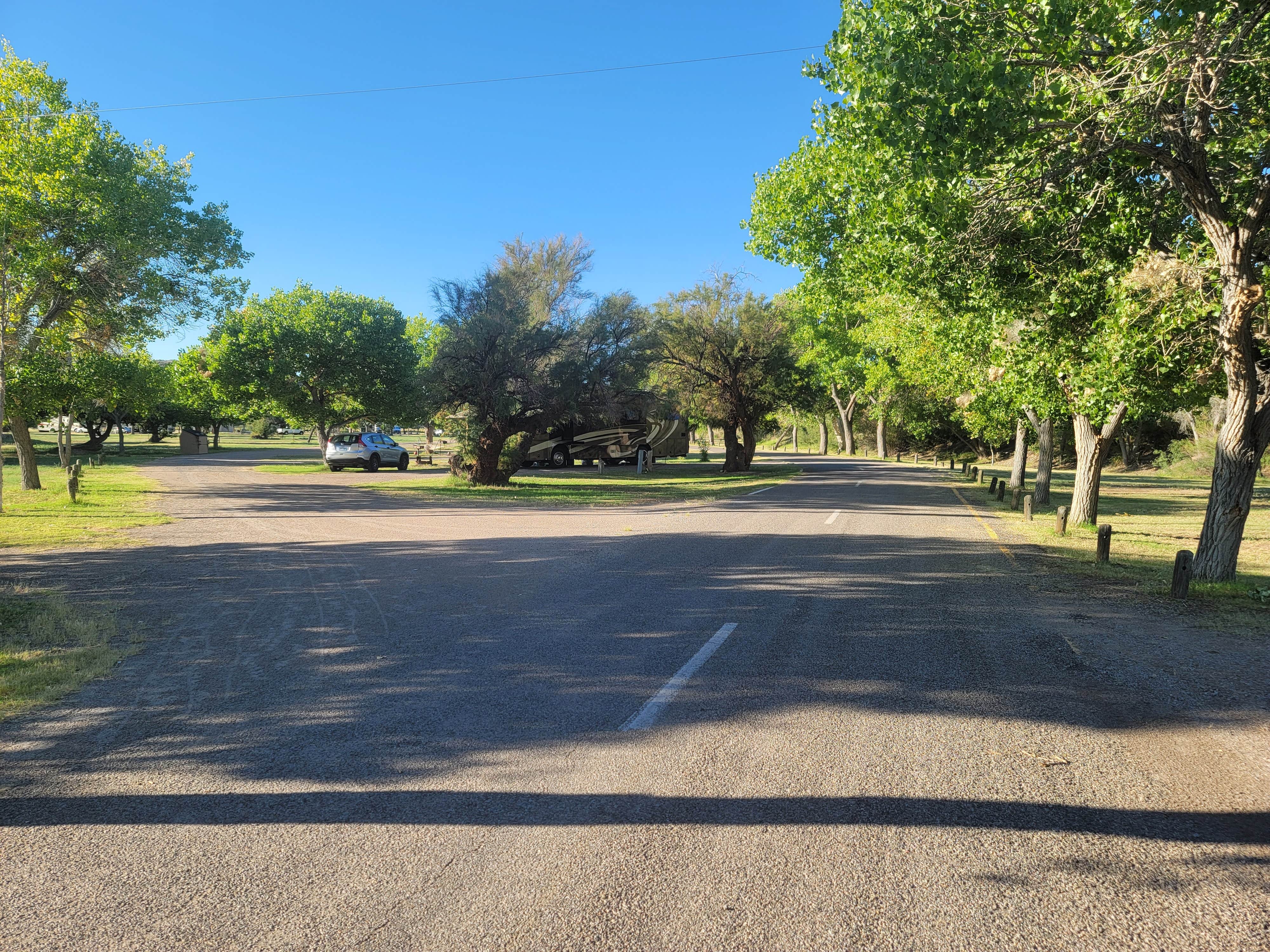 Camper submitted image from Riverside Campground — Caballo Lake State Park - 2