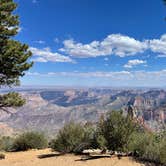 Review photo of Jacob Lake Campground - Kaibab National Forest by Steve C., September 12, 2021