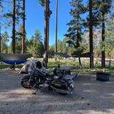 Review photo of Jacob Lake Campground - Kaibab National Forest by Steve C., September 12, 2021