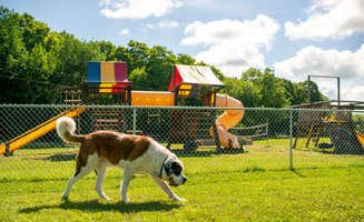 OAK M.'s photo of camping with pets at Door County KOA near Maribel, WI