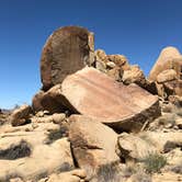 Review photo of White Tank Campground — Joshua Tree National Park by Andrew D., June 30, 2018