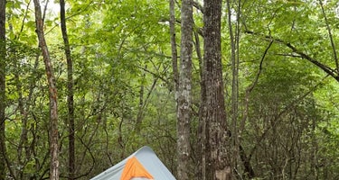 Ash Grove Mountain Cabins & Camping