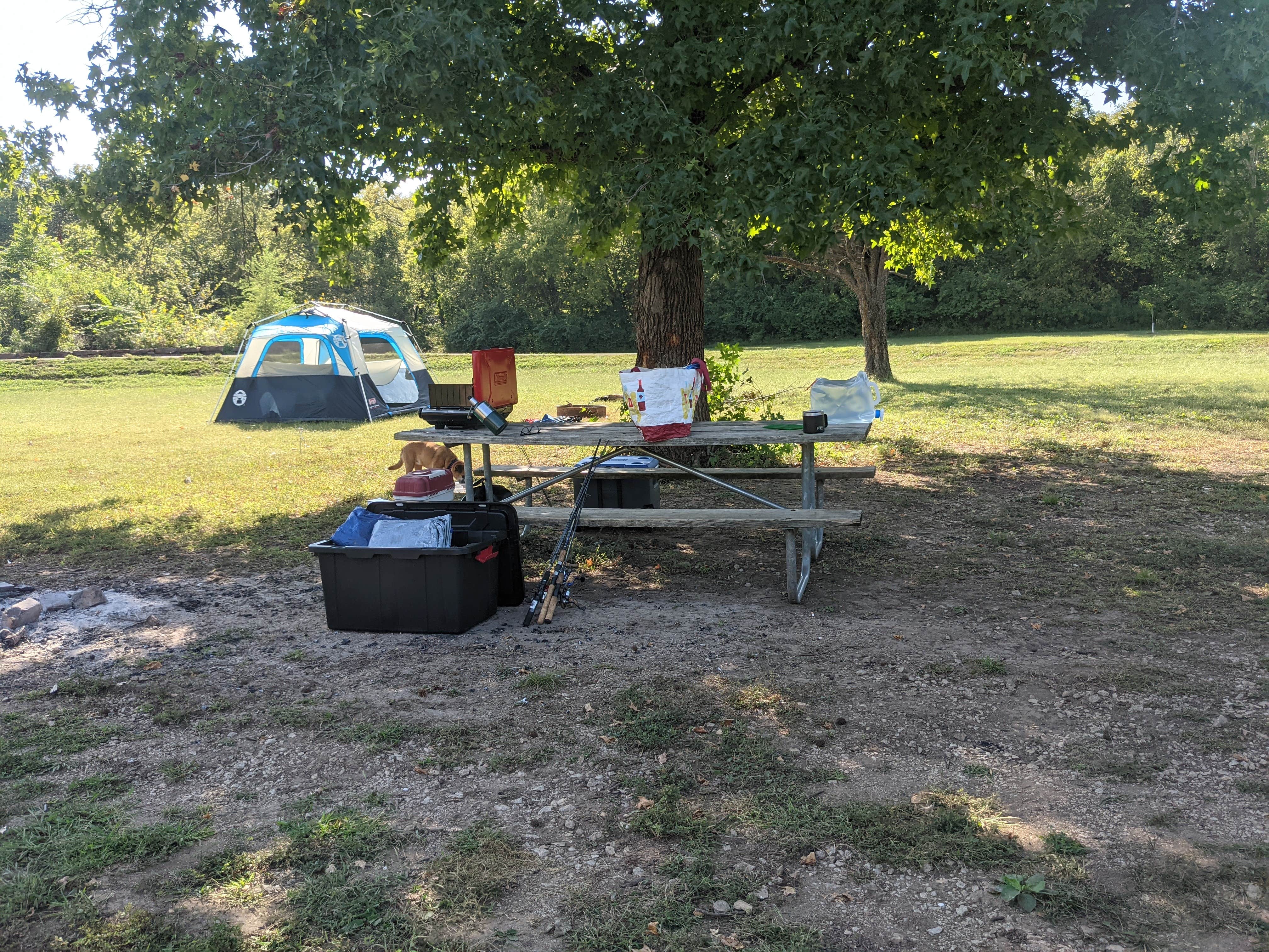 Brandon B.'s photo at Perry State Park Campground near Ozawkie, KS