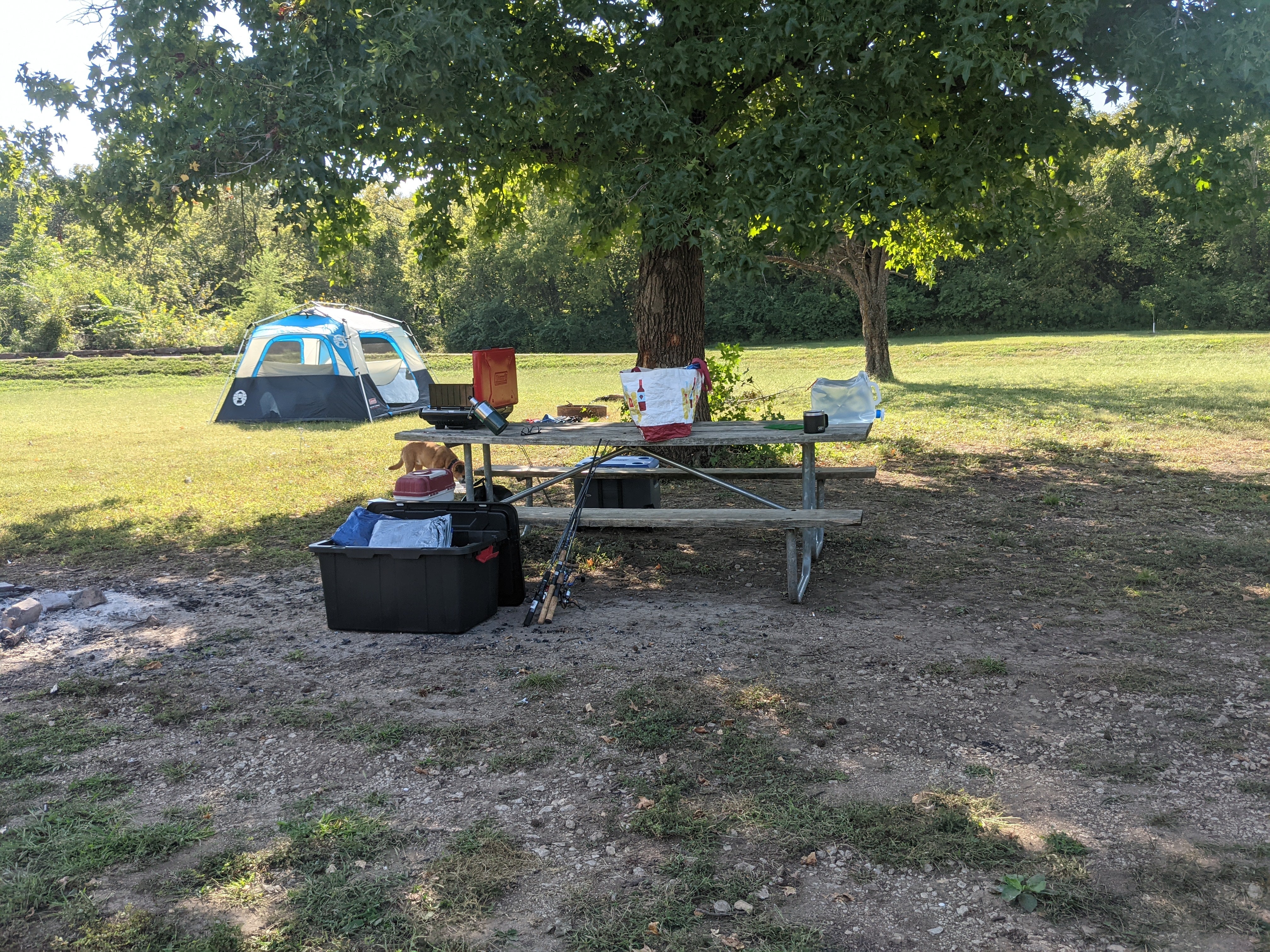 Camper submitted image from Perry State Park Campground - 3