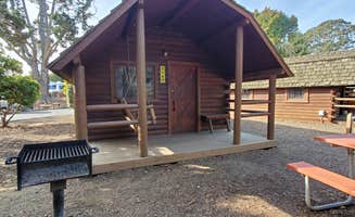 OAK M.'s photo of a cabin at Santa Cruz/Monterey Bay KOA Holiday near Campbell, CA
