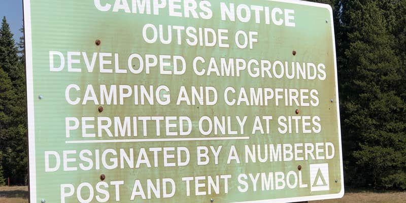 Camper submitted image from Island Park Campground