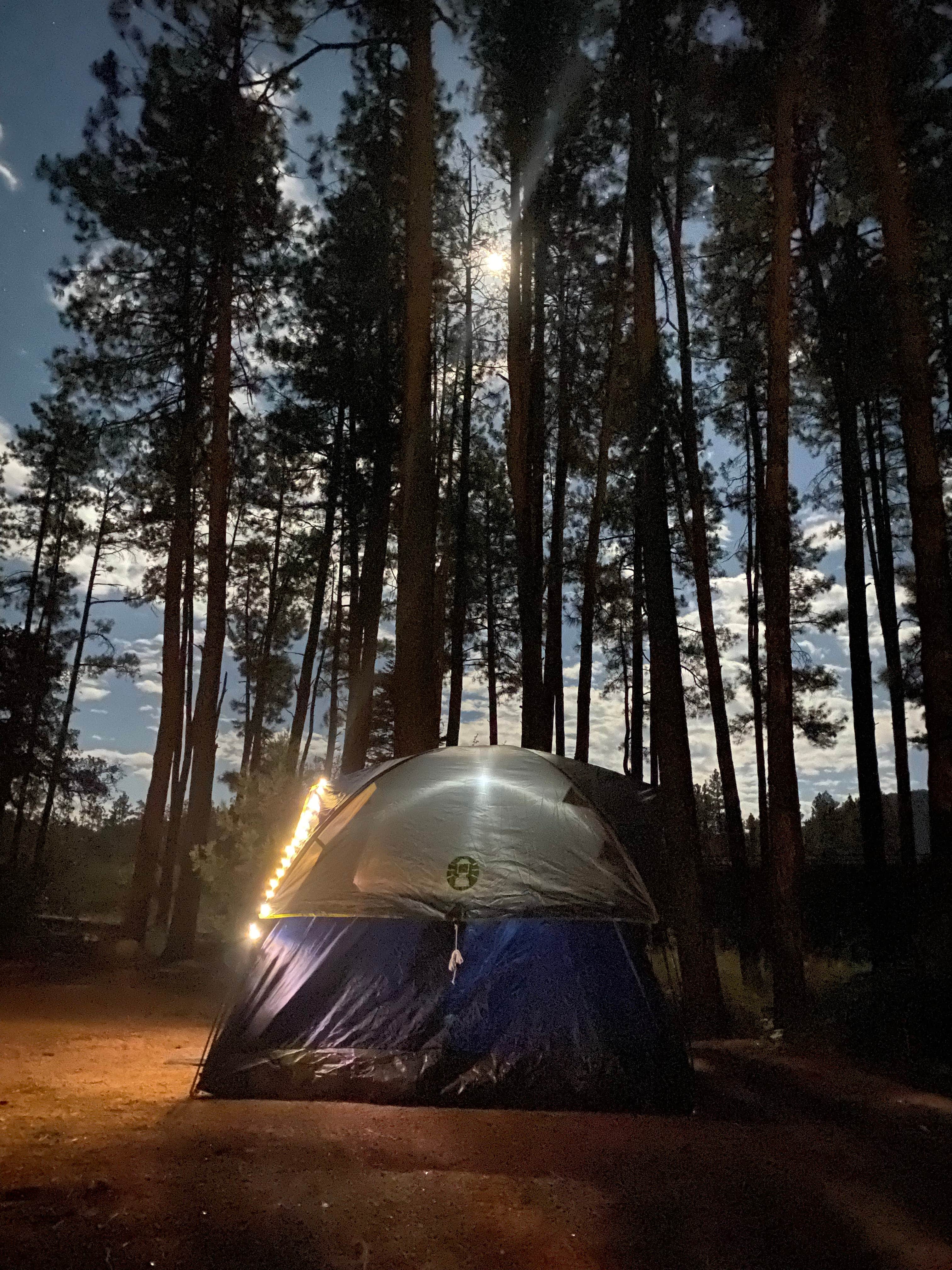 Alyssia I.'s photo of tent camping at Lower Tonto Creek near Forest Lakes, AZ