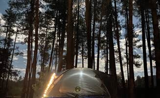 Alyssia I.'s photo at Lower Tonto Creek near Sun Valley, AZ