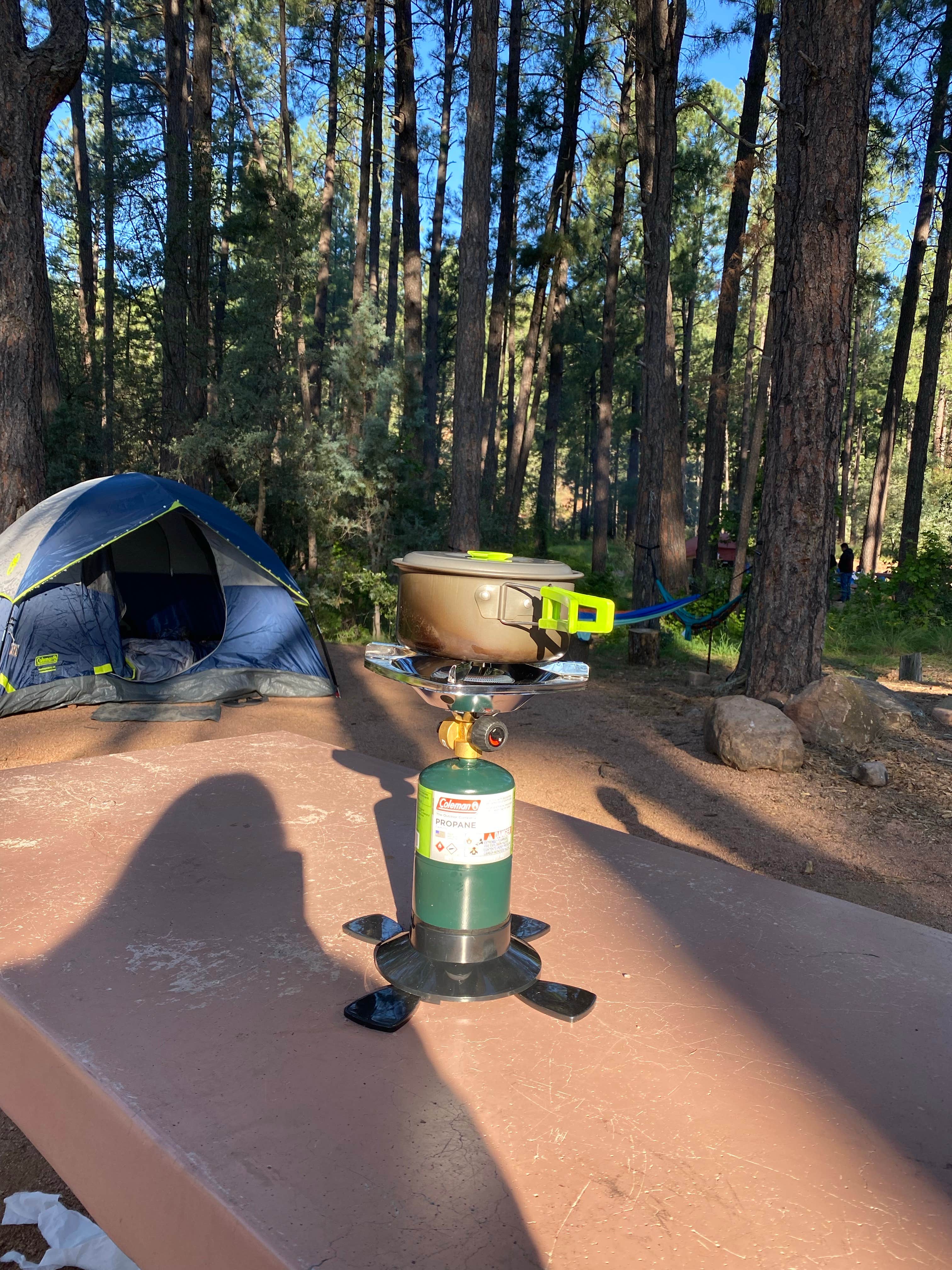 Alyssia I.'s photo at Lower Tonto Creek near Sun Valley, AZ