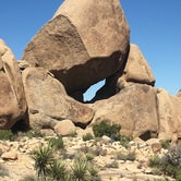 Review photo of Belle Campground — Joshua Tree National Park by Andrew D., June 30, 2018