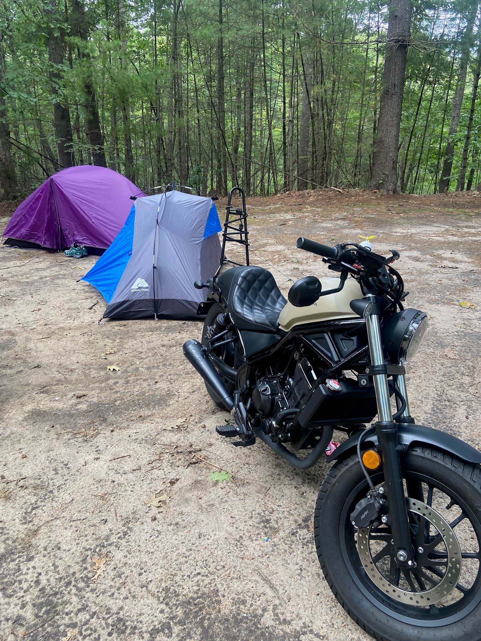 Tha K.'s photo at Lorraine Park Campground — Harold Parker State Forest near Milton, MA