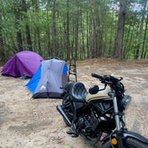 Review photo of Lorraine Park Campground — Harold Parker State Forest by Tha K., September 20, 2021