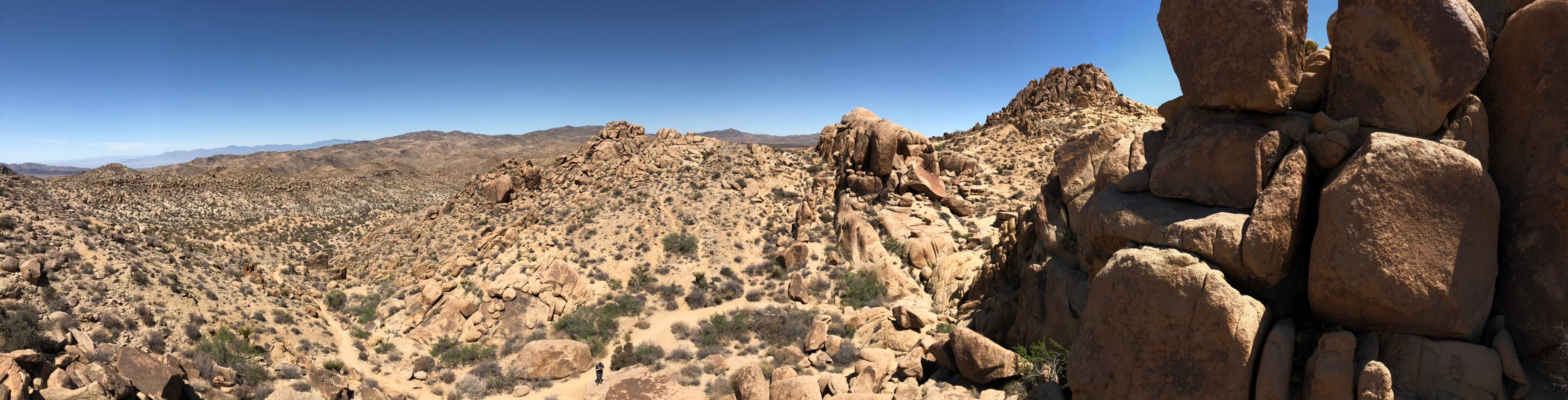 Camper-submitted photo at Belle Campground — Joshua Tree National Park near Bermuda Dunes, CA