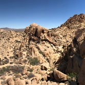 Review photo of Belle Campground — Joshua Tree National Park by Andrew D., June 30, 2018