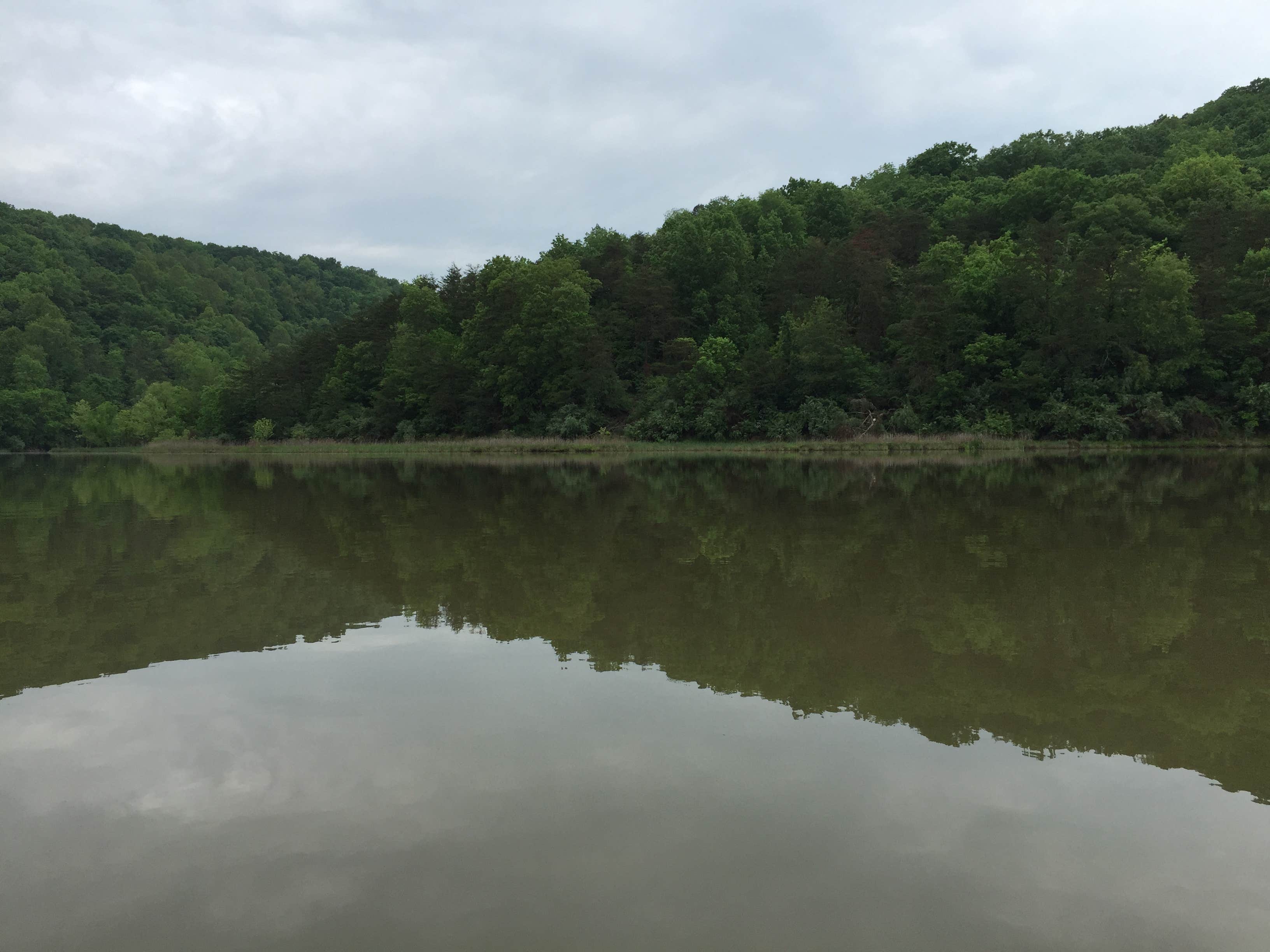 Camper-submitted photo at Four Coves Campground — Beech Fork State Park near Wilsondale, WV