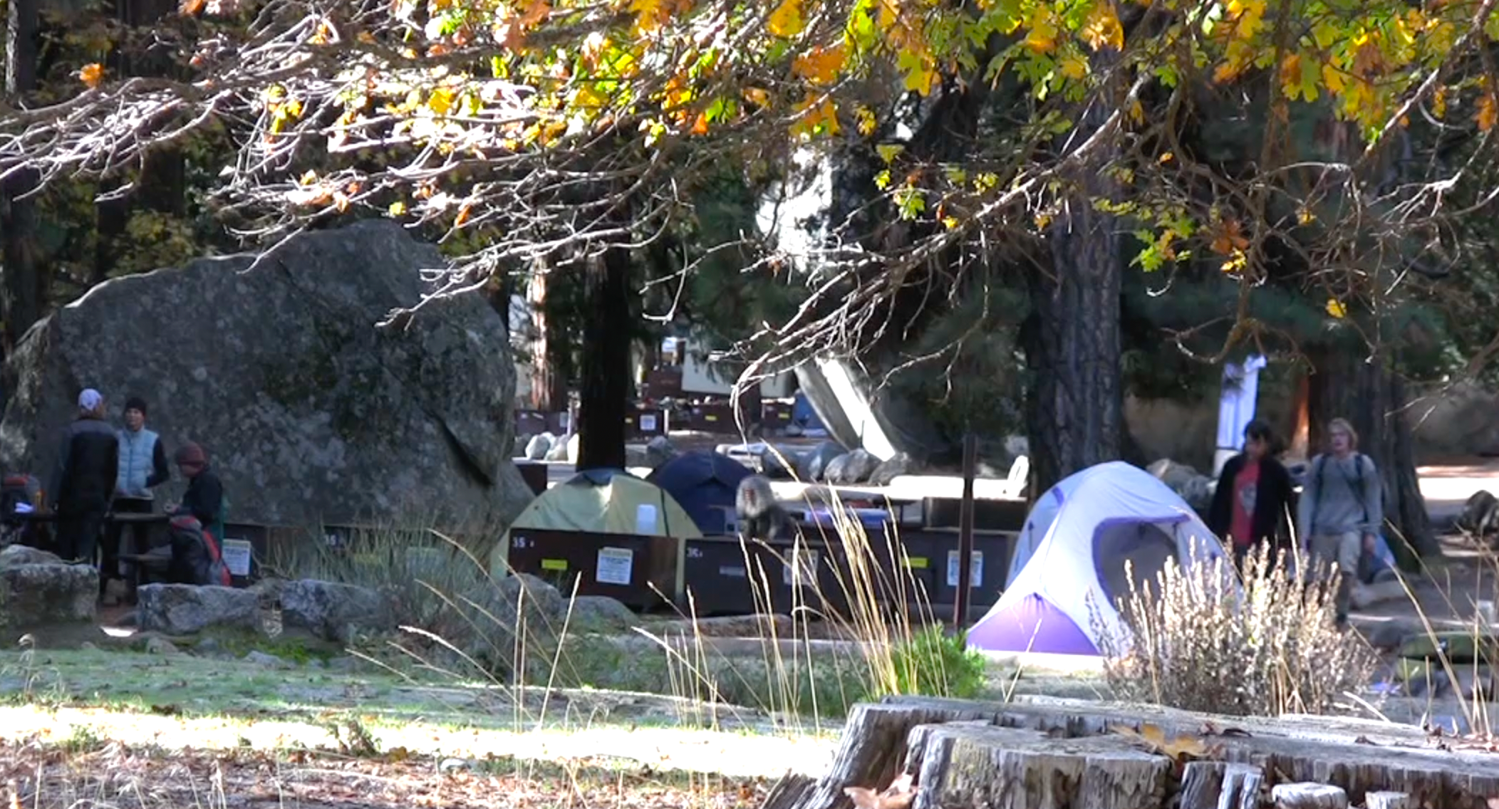 Momma H.'s photo at Camp 4 — Yosemite National Park near Yosemite National Park
