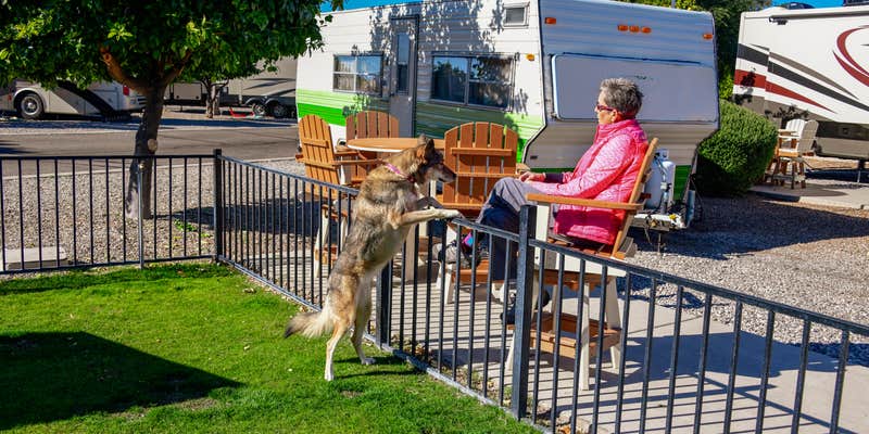 Camper submitted image from Tucson KOA Resort