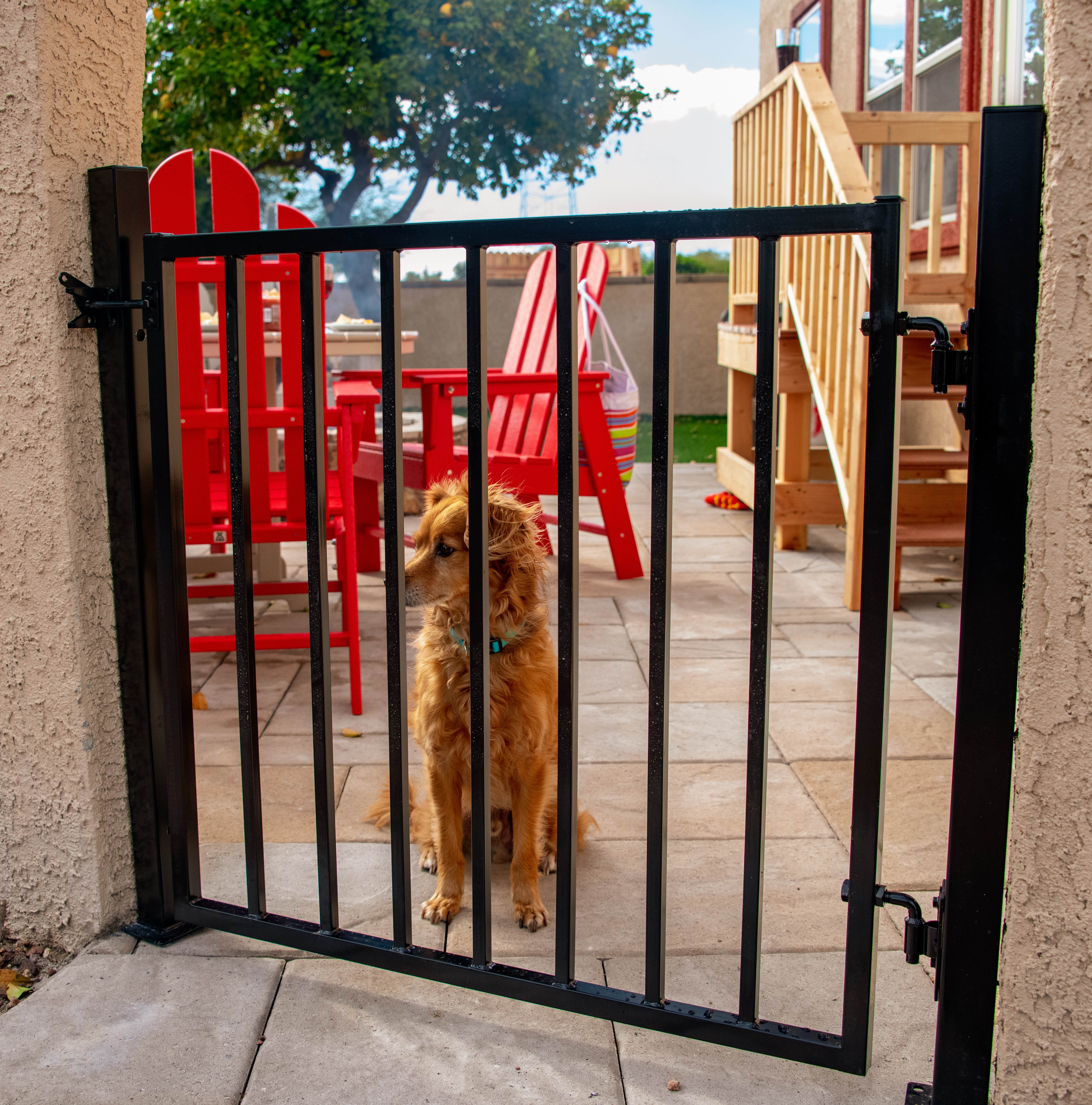 Camper-submitted photo at Tucson - Lazydays KOA near Saguaro National Park
