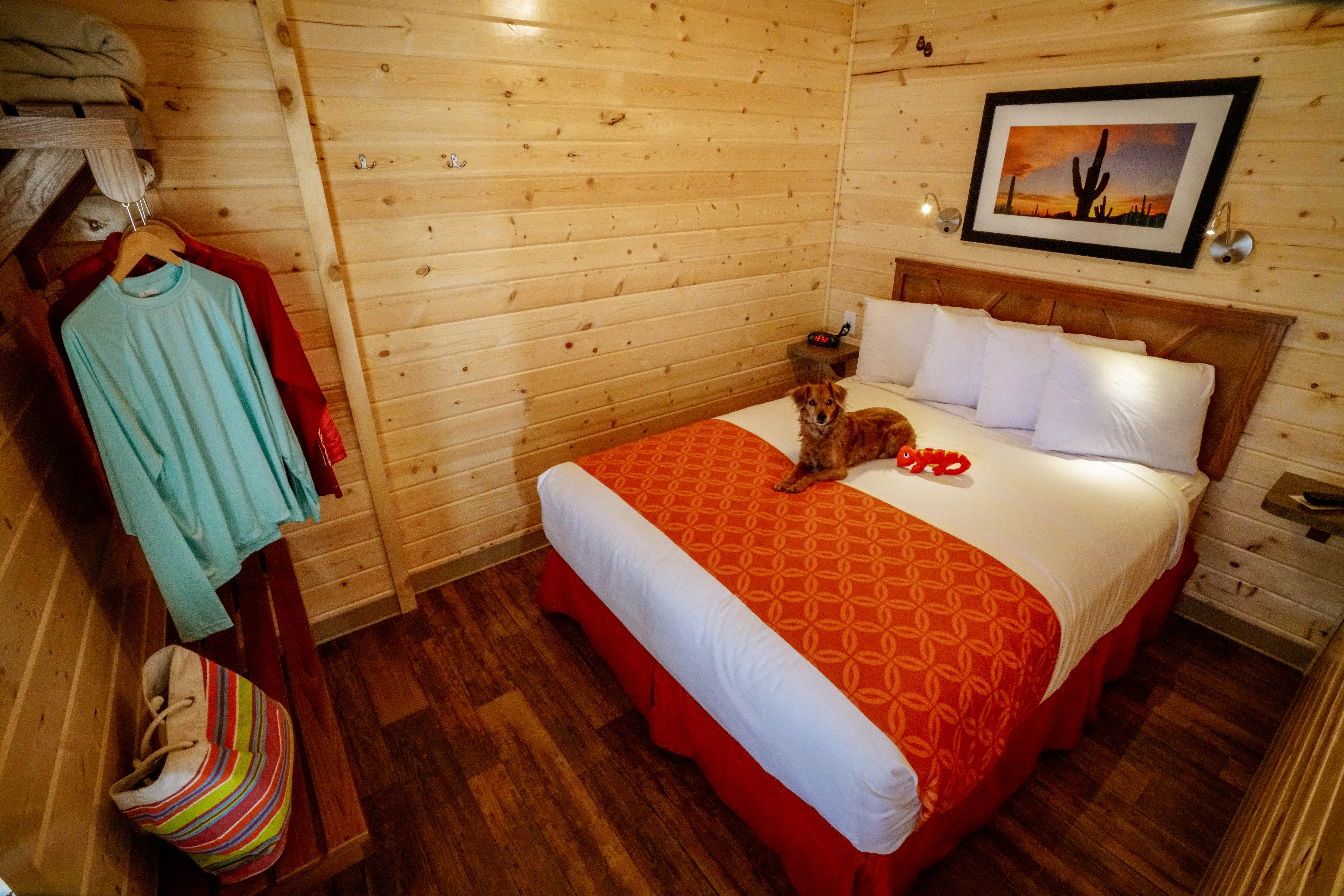 Camper-submitted photo at Tucson - Lazydays KOA near Saguaro National Park