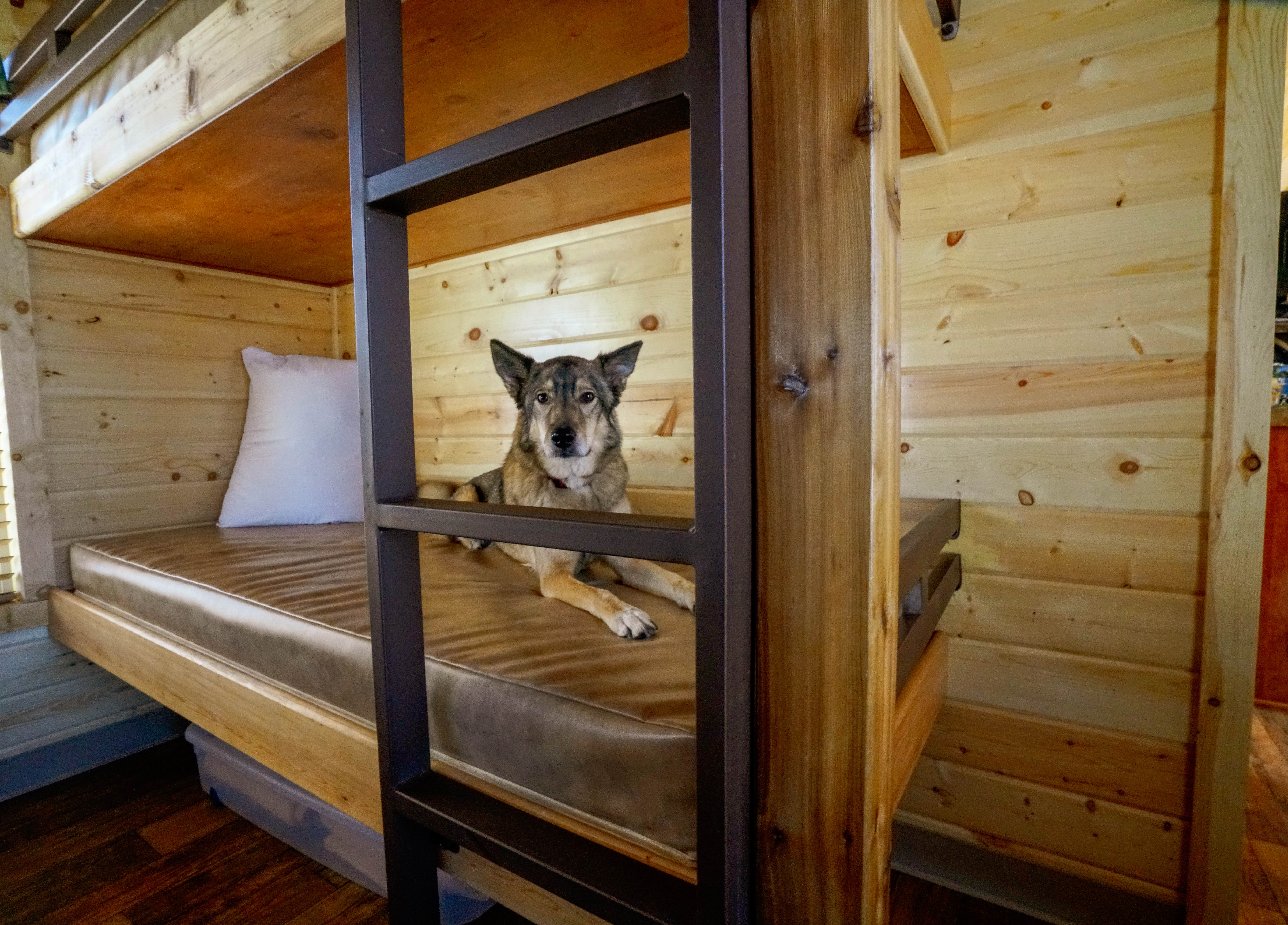 Camper-submitted photo at Tucson - Lazydays KOA near Marana, AZ