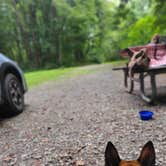 Review photo of Susquehanna State Park Campground by Marissa G., September 20, 2021