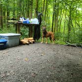 Review photo of Susquehanna State Park Campground by Marissa G., September 20, 2021