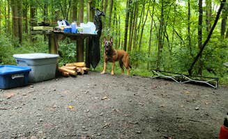 Marissa G.'s photo at Susquehanna State Park Campground near Kennedyville, MD