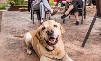 OAK M.'s photo of camping with pets at Moab Koa in Utah