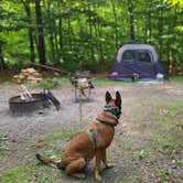 Review photo of Tobyhanna State Park Campground by Marissa G., September 20, 2021