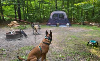 Marissa G.'s photo at Tobyhanna State Park Campground near Spring Brook, PA