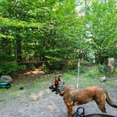 Review photo of Tobyhanna State Park Campground by Marissa G., September 20, 2021