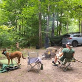 Review photo of Tobyhanna State Park Campground by Marissa G., September 20, 2021