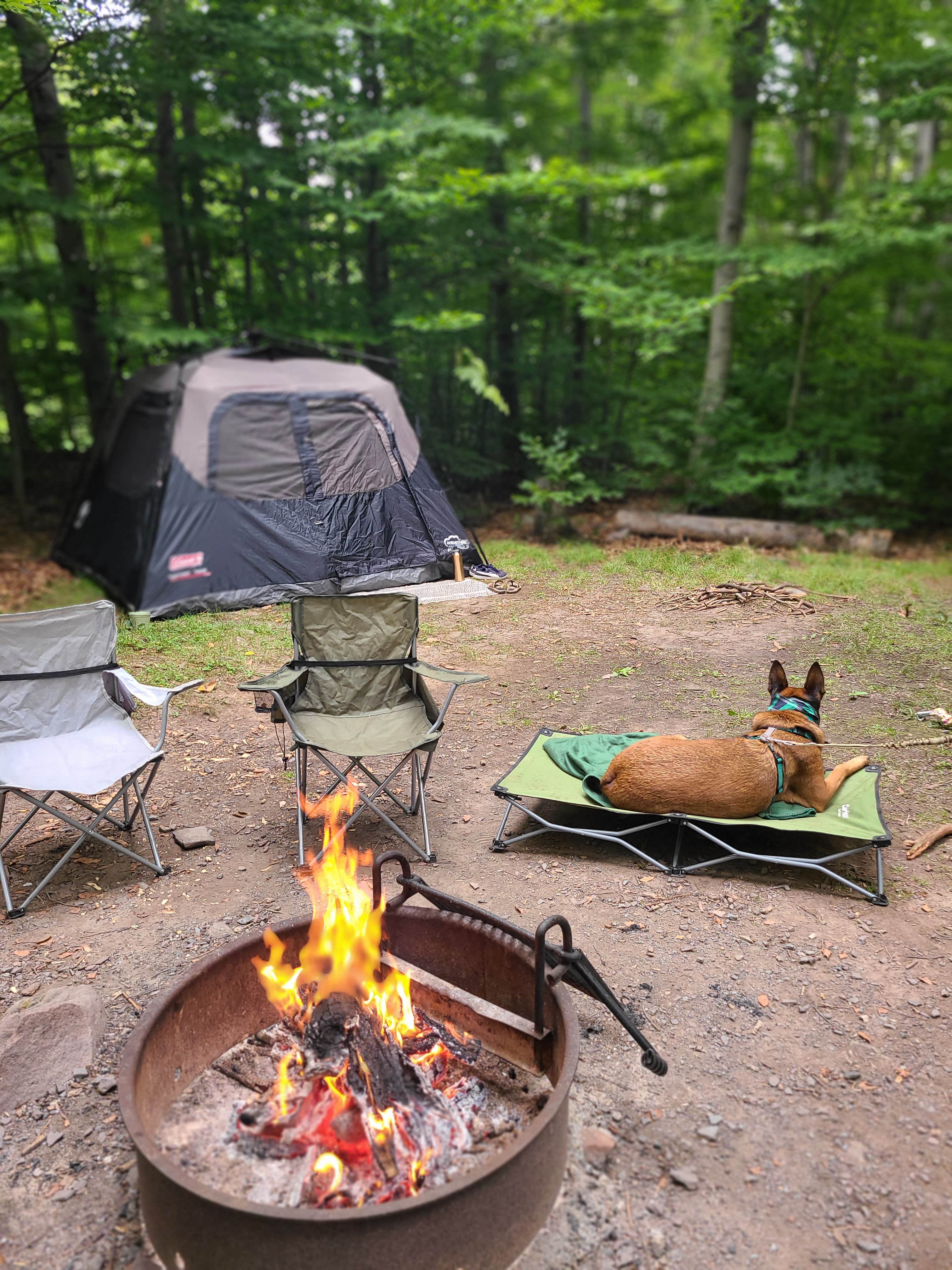 Marissa G.'s photo at Tobyhanna State Park Campground near Moscow, PA