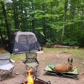 Review photo of Tobyhanna State Park Campground by Marissa G., September 20, 2021
