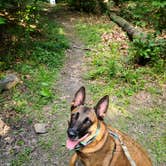 Review photo of Tobyhanna State Park Campground by Marissa G., September 20, 2021