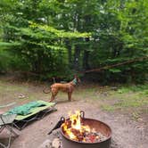 Review photo of Tobyhanna State Park Campground by Marissa G., September 20, 2021