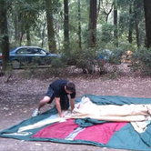 Review photo of Lower Blooms Creek — Big Basin Redwoods State Park — CAMPGROUND CLOSED by Andrew D., June 30, 2018